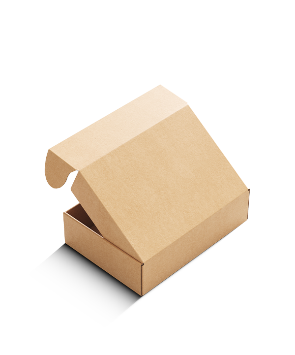 Plain Delivery Boxes