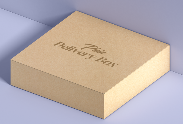Plain Delivery Box