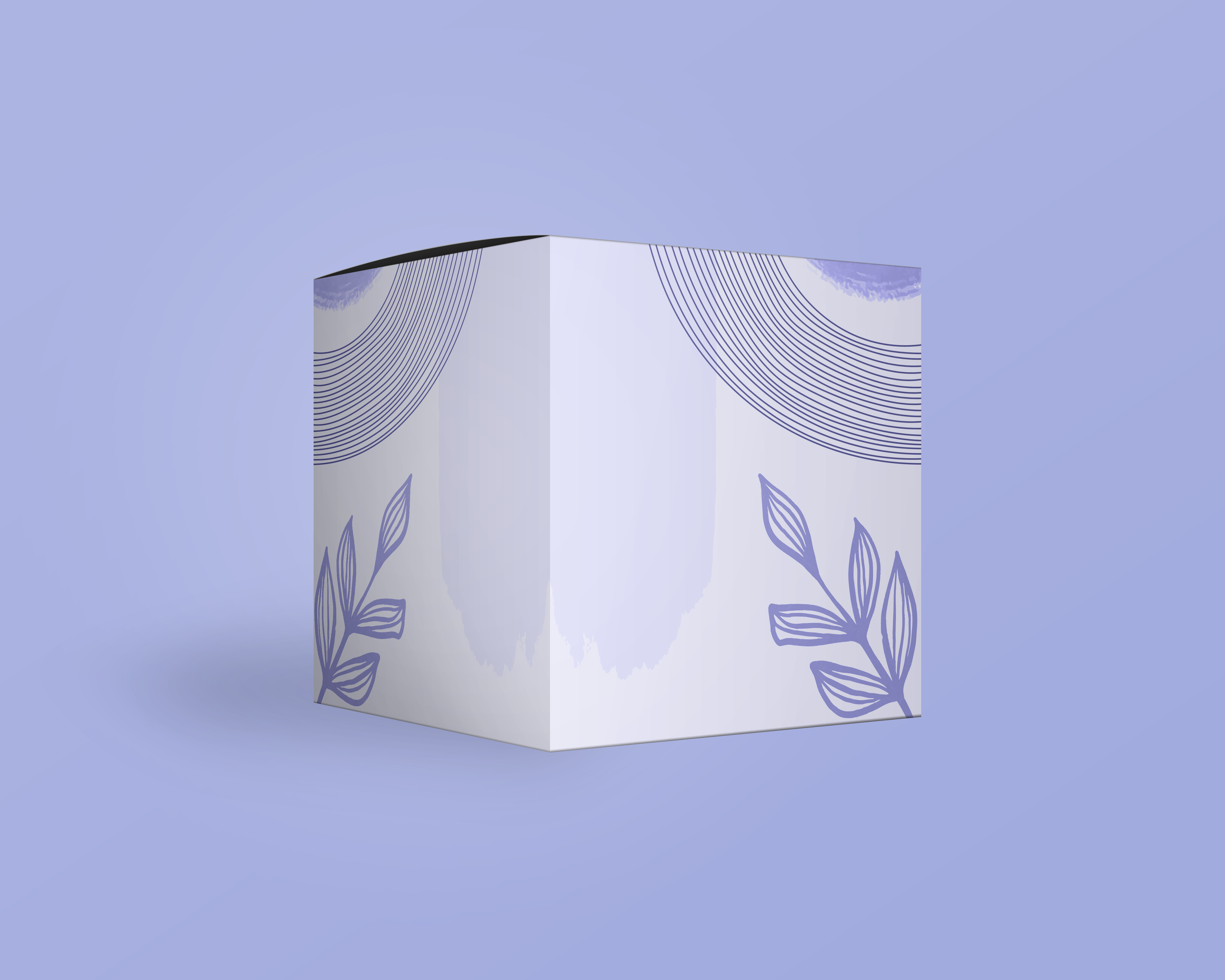 Corrugated Product Box